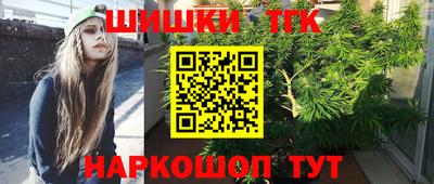 Альфа ПВП Дубна