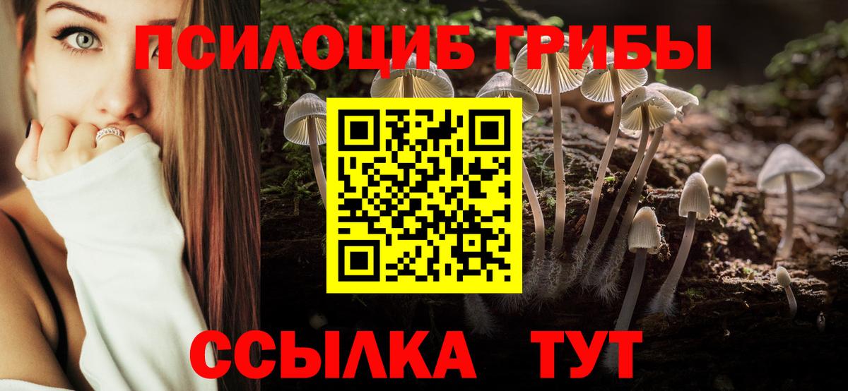 Гатчина  Галлюциногенные грибы мицелий  Псилоцибиновые грибы мухоморы  Вход с VPN 